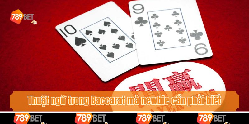 Thuật ngữ trong Baccarat mà newbie cần phải biết