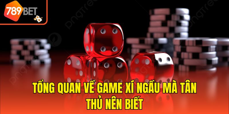 Tổng quan về game Xí ngầu mà tân thủ nên biết