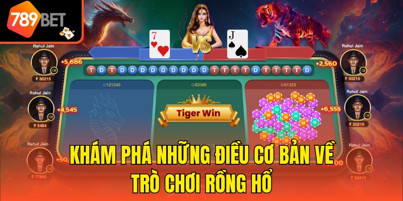 Khám phá những điều cơ bản về trò chơi Rồng Hổ