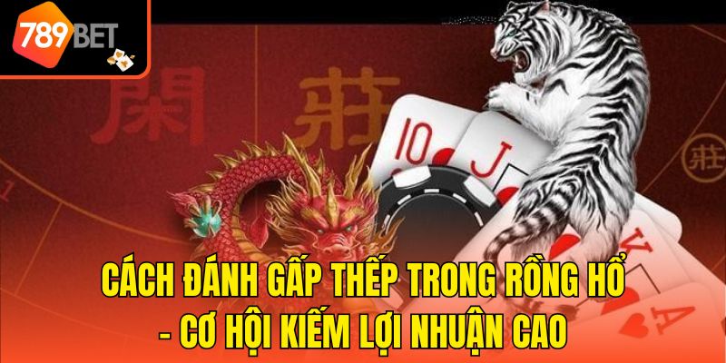 Cách Đánh Gấp Thếp Trong Rồng Hổ - Cơ Hội Kiếm Lợi Nhuận Cao