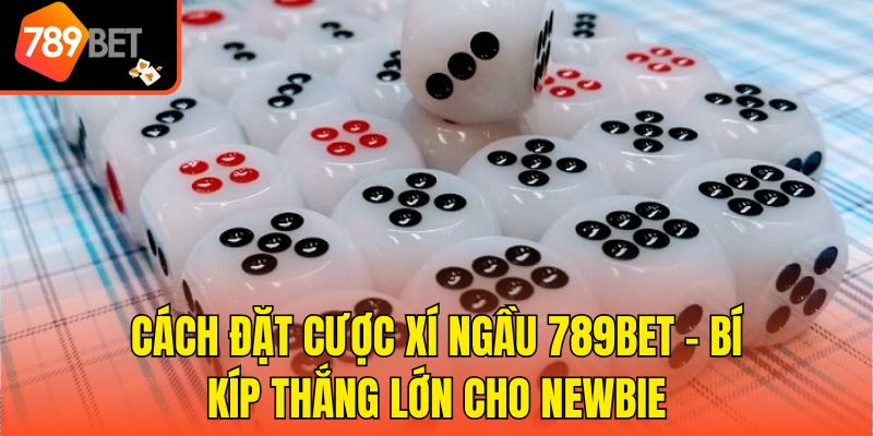 Cách Đặt Cược Xí Ngầu 789bet - Bí Kíp Thắng Lớn Cho Newbie