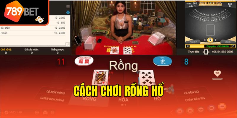 Tìm hiểu sơ lược thông tin về game Rồng Hổ