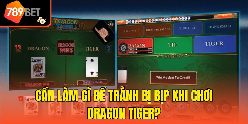 Cần làm gì để tránh bị bịp khi chơi Dragon Tiger?