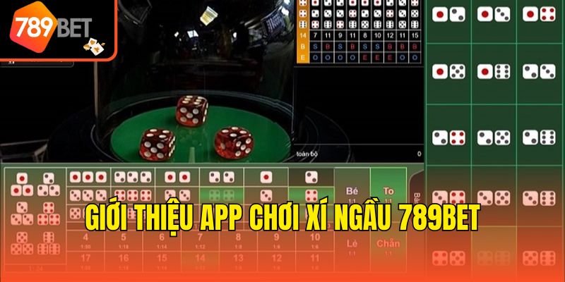 Giới thiệu app chơi xí ngầu 789bet