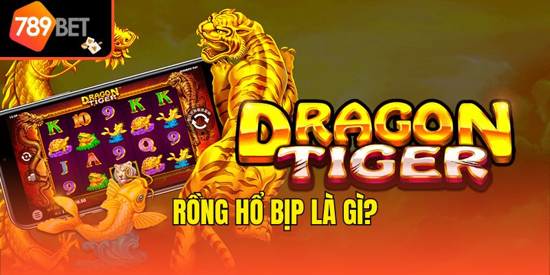 Rồng Hổ bịp là gì?