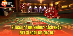 Xí Ngầu Có Bịp Không? Cách Nhận Biết Xí Ngầu Bịp Cực Dễ